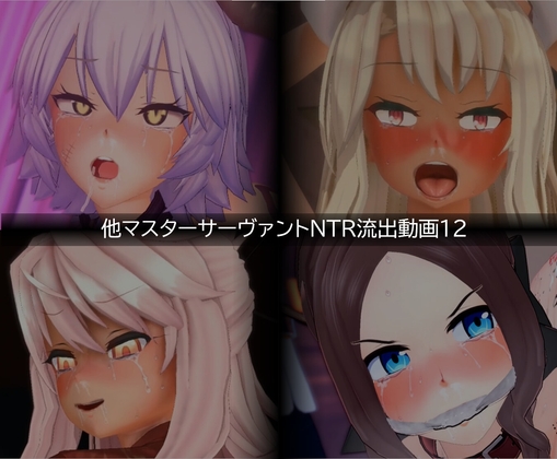 [同人][DL]【RJ01656166】【流出】【他マスターサーバント】【NTR】流出動画012【只野123】