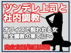 [同人][FA]【d_783843】ツンデレ上司と社内調教【Aine Grace】
