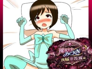 成人向け