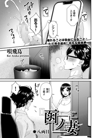 [同人][DL]【BJ02855443】函ノ妻　八両目【リイド社】