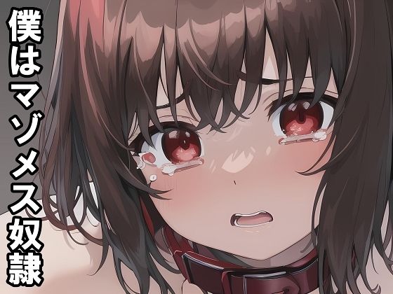 [同人][FA]【d_790122】【小説＋おまけイラスト7枚】僕はマゾメス奴●I【melt】