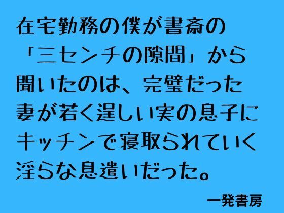 [同人][FA]【d_796576】在宅勤務の僕が書斎の「三センチの隙間」から聞いたのは、完璧だった妻が若く逞しい実の息子にキッチンで寝取られていく淫らな息遣いだった。【一発書房】